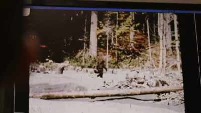 It was filmed right near here
at Bluff Creek, - Expedition Bigfoot