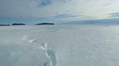 It forms a cover of sea ice - Frozen Planet II