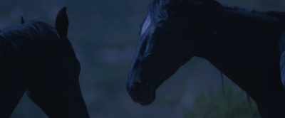 It gallops toward the sky, - Black Beauty