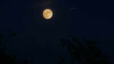 It gave all of us an
extremely eerie feeling. - Alien Chronicles: Top UFO Encounters