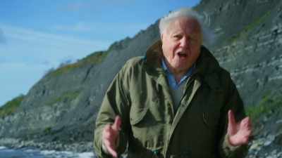 It gives you an extraordinarily
vivid insight - Attenborough and the Sea Dragon