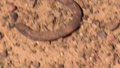 It gives Stoney an idea
for a name for the site. - Outback Opal Hunters