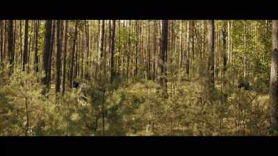 It goes like this: - Nobody Sleeps in the Woods Tonight