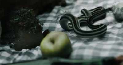 - It was going to bite you.
- No, idiot! It was my friend! - Errementari: The Blacksmith and the Devil