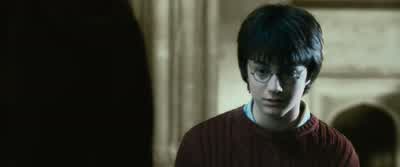It had to be a Gryffindor.Nobody else knows our password. - Harry Potter and the Chamber of Secrets
