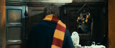 It had to be a Gryffindor. - Harry Potter and the Chamber of Secrets