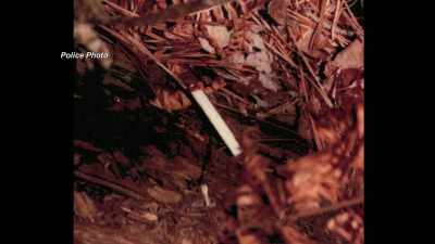 IT HAD UNKNOWN BLOOD ON THE END
THAT YOU WOULD LIGHT, - Evil Lives Here: Shadows Of Death