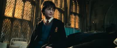 It happened right herein this very cubicle. - Harry Potter and the Chamber of Secrets