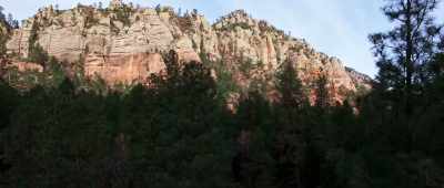 It is hard to imagine the volume of material it represents. - Is Genesis History?
