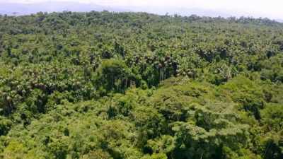 IT HAS ALWAYS BEEN SEEN
AS A PRISTINE WILDERNESS, - Lost Cities of the Amazon