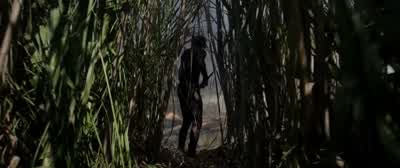 It has found you. - After Earth