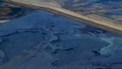 IT HAS SEVERE IMPACTS
ON THE WILDLIFE, - Before the Flood