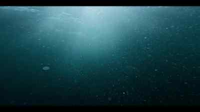 ...it helps fuel an annual feast. - Our Oceans