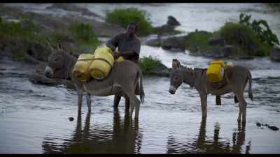 It helps us protect water resources. - Kiss the Ground