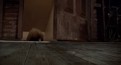 Nick what did you doMe It was his ball Shut up wimpWe have to get Dad He'll know what to do - Honey, I Shrunk the Kids