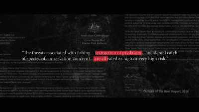 It identified as a key threat - Envoy: Shark Cull