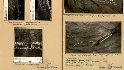 It was indeed cut by a blade, - An Unknown Compelling Force
