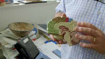 It integrates what you can see and hear - Magic Medicine