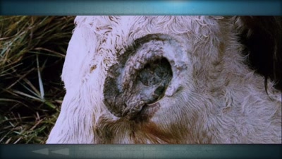 It involves the full gamut - Beyond Skinwalker Ranch