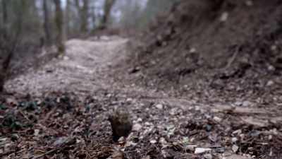 IT IS COVERED WITH ROCKS, ROOTS. - Chandra Levy: An American Murder Mystery