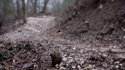 IT IS DIFFICULT TO JOG ON, - Chandra Levy: An American Murder Mystery