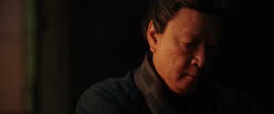 It is my duty to fight. - Mulan