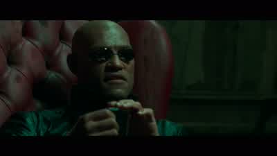 IT IS THIS FEELING THAT HAS BROUGHT YOU TO ME. - The Matrix