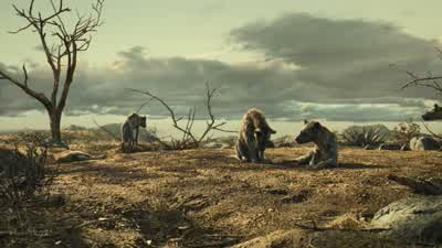It is with deepest pride and greatest pleasure... - The Lion King