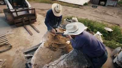 IT IS WORTH IN THE MILLIONS, - Dino Hunters