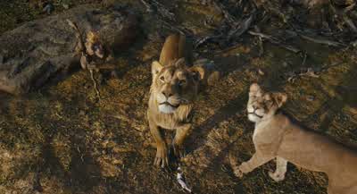 It is your time, Mufasa. - Mufasa: The Lion King