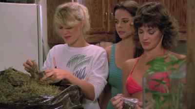 It isn't - The Beach Girls