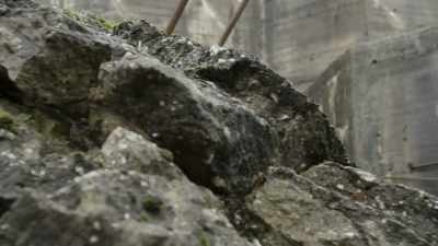 It just creates a huge mess that
is really difficult to clean up. - Secret Nazi Ruins