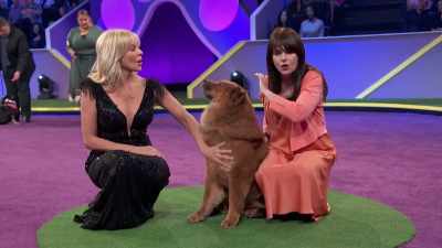 It just goes o-n-n-n-n-n... - 2022 American Rescue Dog Show