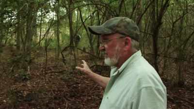 It just happens to be that
is the spot - If I Leave Here Tomorrow: A Film About Lynyrd Skynyrd