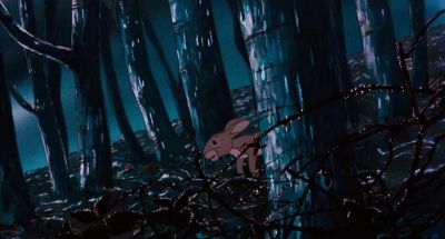 It had just killed - Watership Down