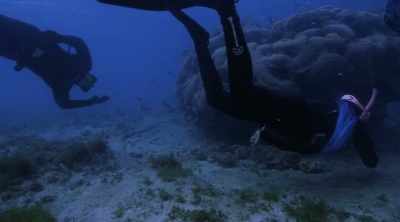 It just was really amazing for
me to see this behavior that - Shark Attack Files