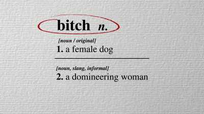 It just said that the word "bitch" - History of Swear Words