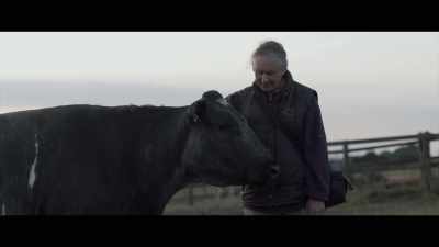 It was just such a relief to know
that the animals are being looking after, - 73 Cows