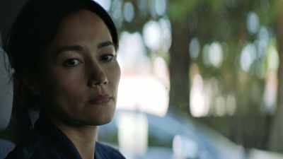 It killed everything
it touched. Whole cities. - The Crossing