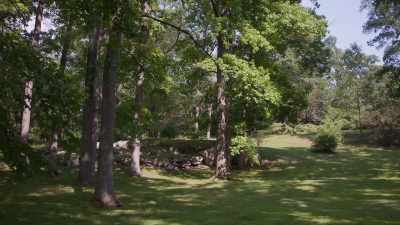 It was kinda fun. (laughs) - Trees and Other Entanglements