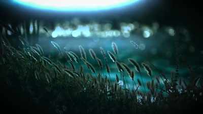 It landed behind this
and we turned around, - Alien Abduction: Answers