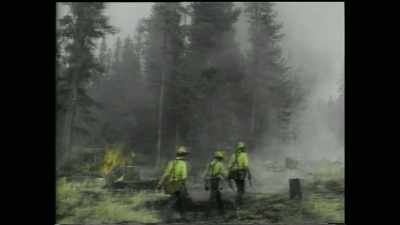 It led to America's
largest firefighting effort - Yellowstone: One-Fifty