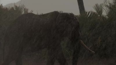 It was like all that pressure, - Chasing the Rains