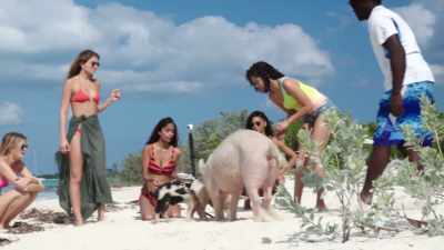  It was like,
"We're gonna scratch the pigs now - Fyre