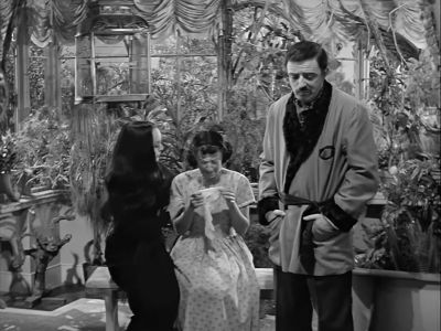 - It likes privacy.
- This is fantastic. Take notes, Miri Haan. - The Addams Family