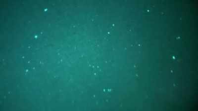 It literally just looked like
a star just moving without a trail. - Jack Osbourne's Night of Terror: UFOs
