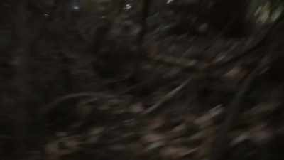 It literally just shoots down - Expedition Bigfoot