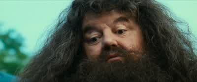 It lives in your very skin.- What is it? - Harry Potter and the Philosopher's Stone