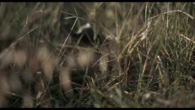 It looked like a body
that had been there for much longer. - Murder by the Coast
