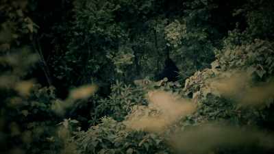 IT LOOKED LIKE A HUMAN, - Expedition Mungo